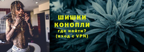 молекула духа Богородск