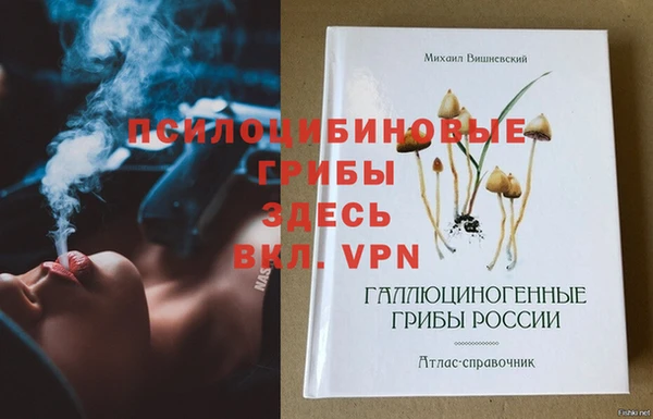 ешки Богородицк