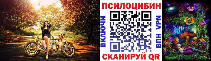Псилоцибиновые грибы прущие грибы Новосибирск